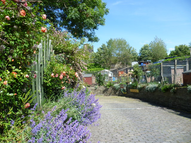 Image: Kim Traynor, Gorgie City Farm, Geograph, Creative Commons Attribution-ShareAlike 2.0 Generic