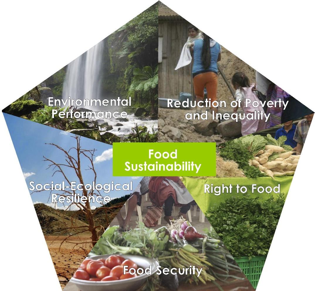 A food sustainability framework we co-developed (Bolivia-Kenya-Switzerland) in the project. For three years, an interdisciplinary team assessed indicators for these five dimensions.