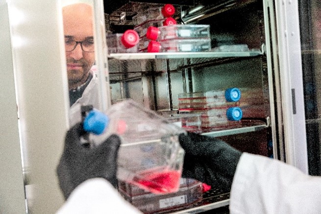 A researcher examines cell culture vessels, Mosa Meat R&D Team, Mosa Meat Press Kit