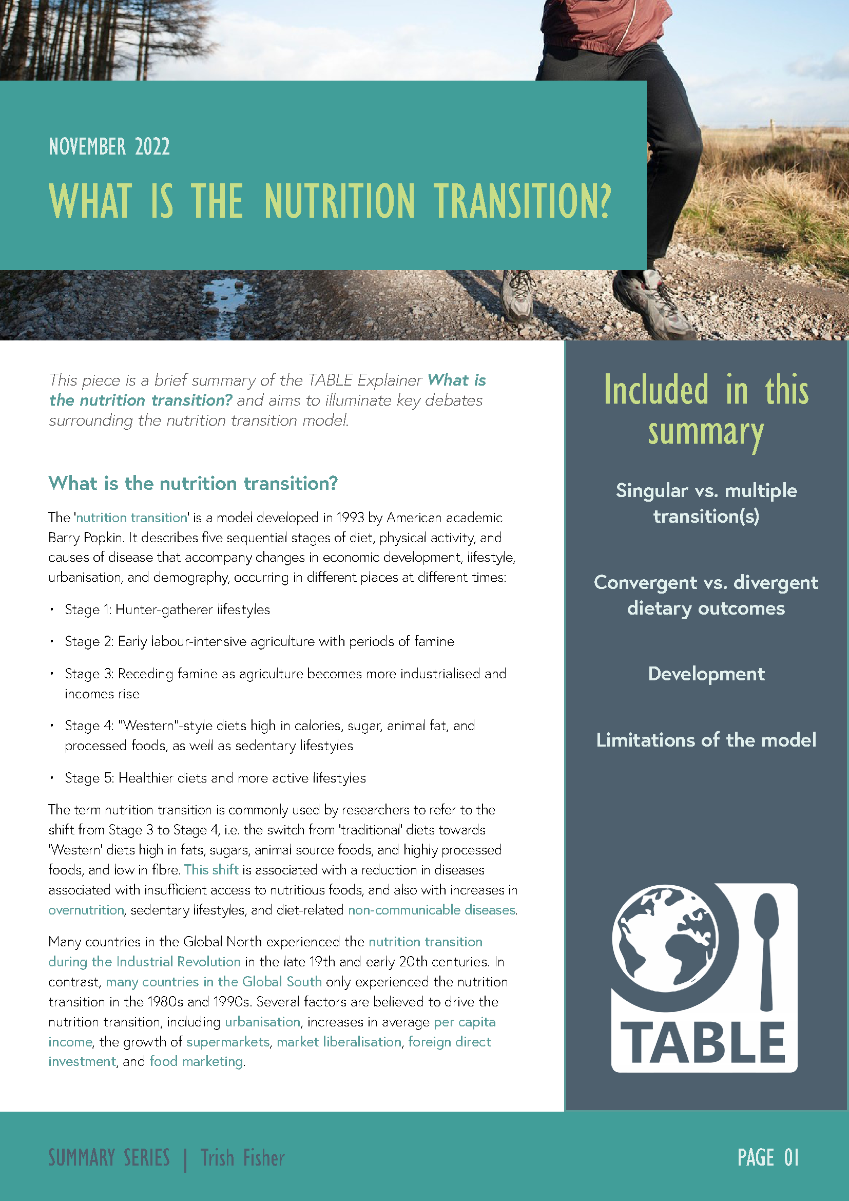 Page 1 of the Nutrition Transition Summary