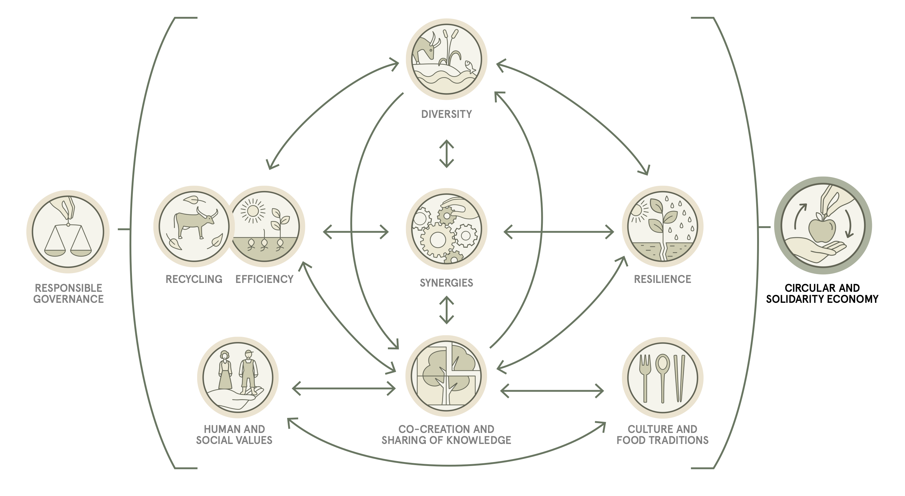 A diagram depicting the relationships between difference aspects of Agroecology such as co-creation & sharing of knowledge, diversity, and resilience, reproduced from FAO (2018)1