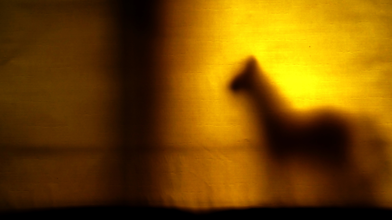 Silhouette of a quadraped animal in yellow light, through the fabric of a tent