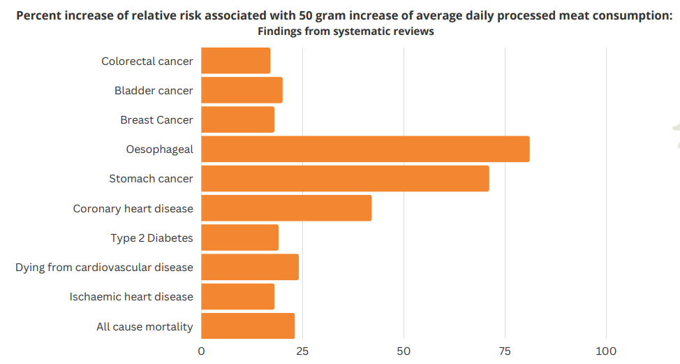 Alt text: fig 1. Percent increase of relative risk associated with 50g increase of average daily processed meat consumption. 