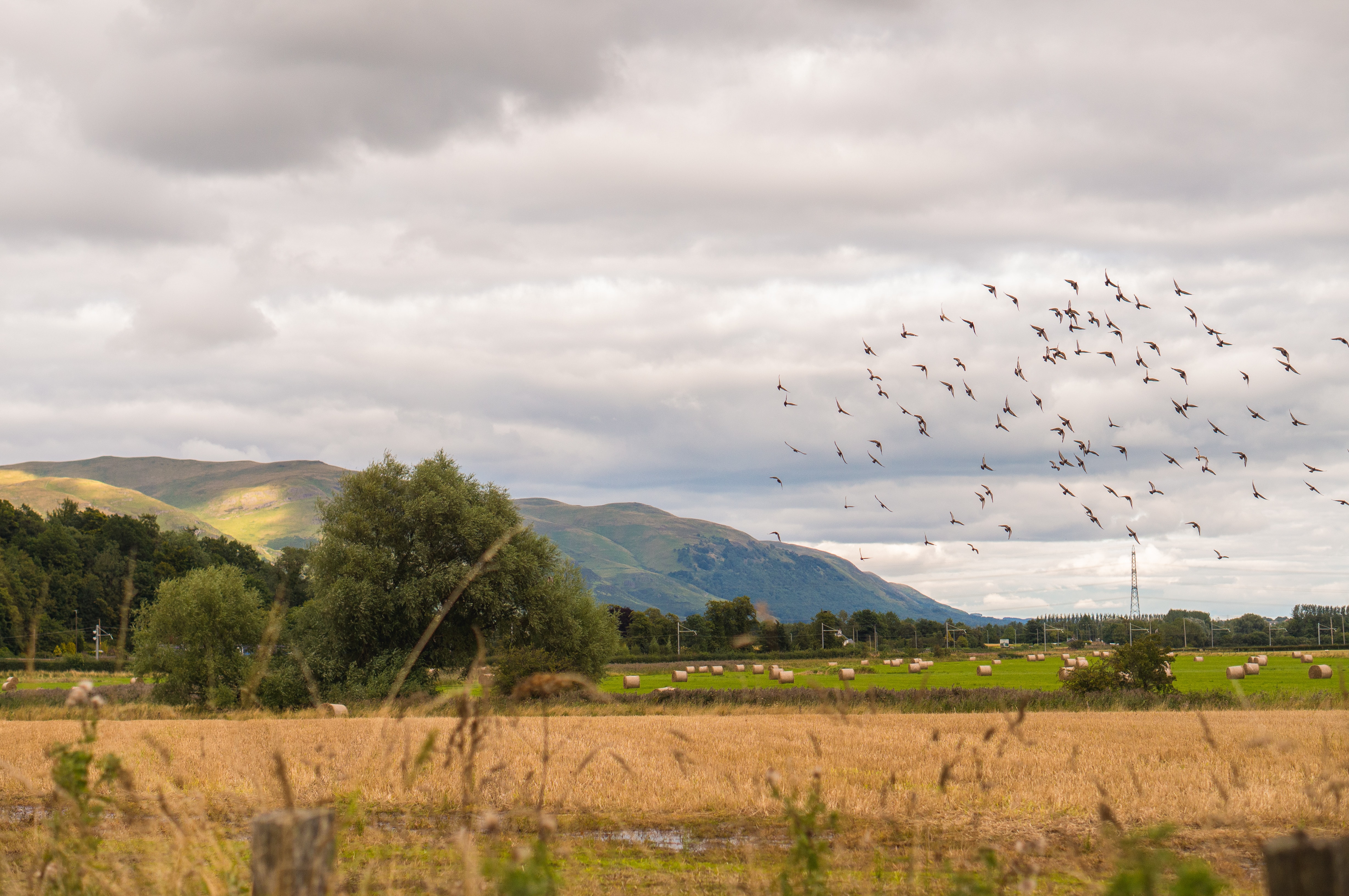 A photo of a UK countryside under grey clouds with a flock of birds flying and steep hills in the background. Photo by baeilis garvey via Unsplash. 