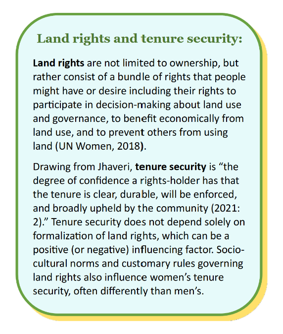 Image 1: Infographic of definitions of land rights and tenure security.