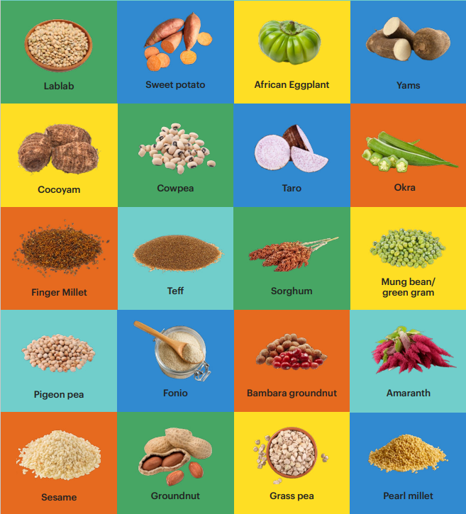 opportunity crops for Afica