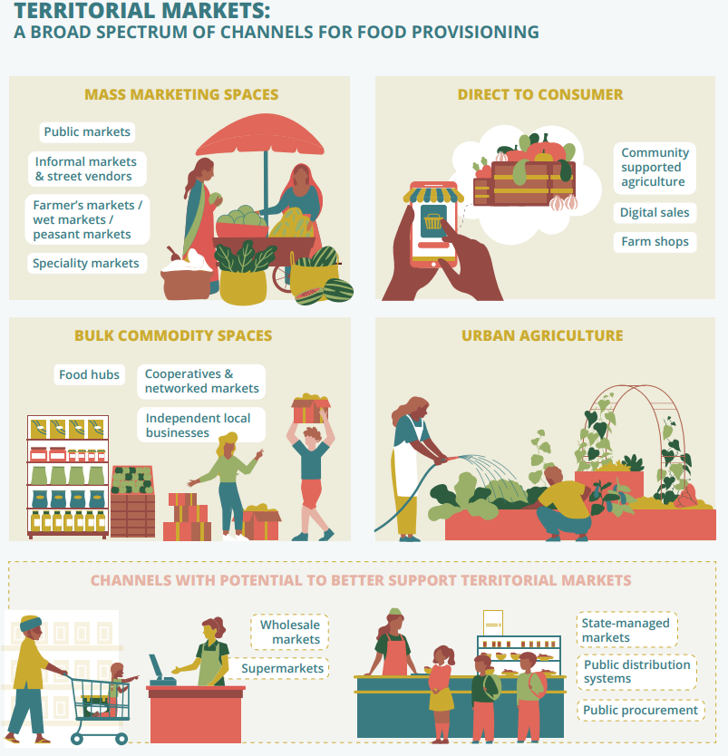 Figure 1: Visual depiction of territorial markets components including urban agriculture bulk commodity spaces, mass marketing spaces and direct to consumer food provision. 