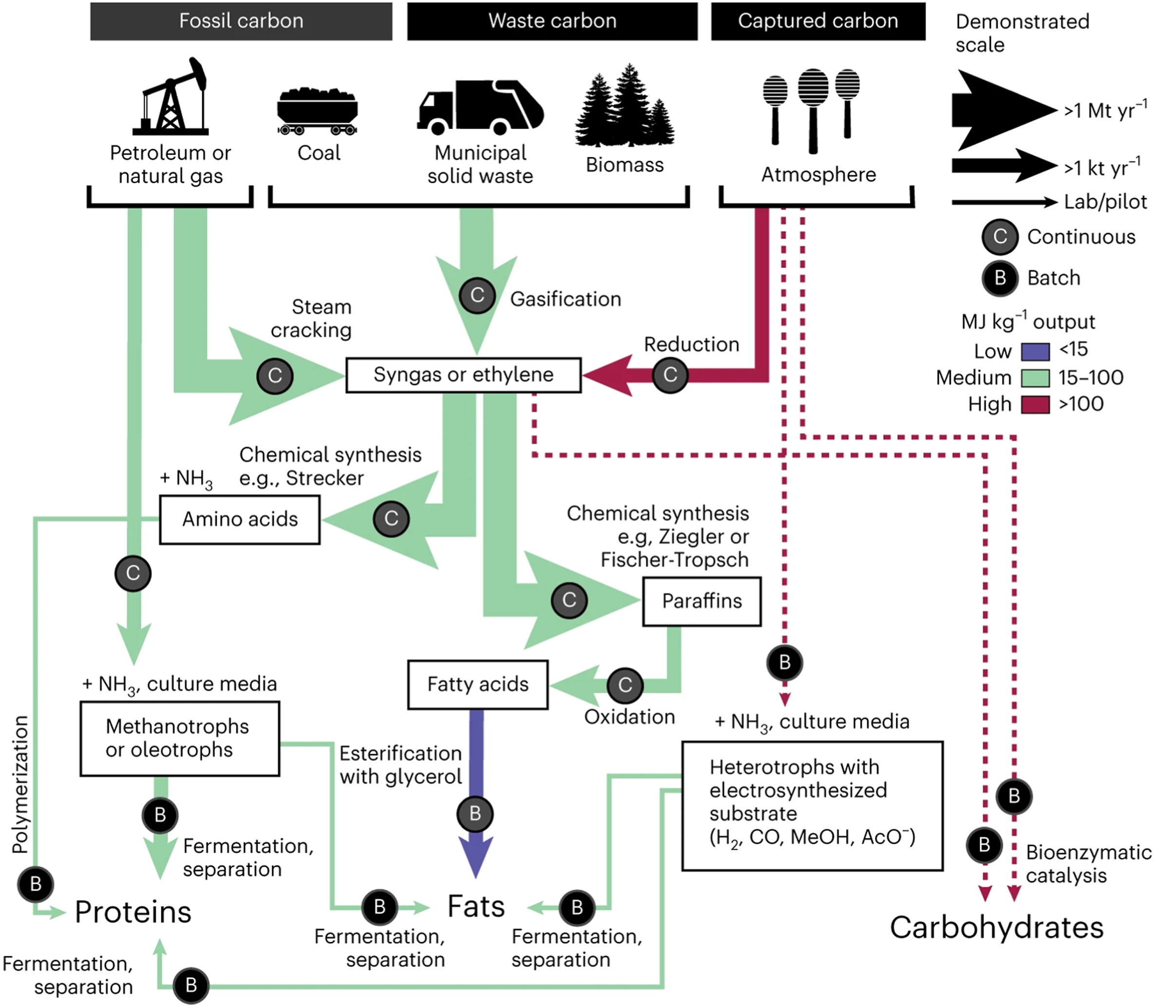 Figure 1: Potential pathways for the non-agricultural production of food from existing raw materials.