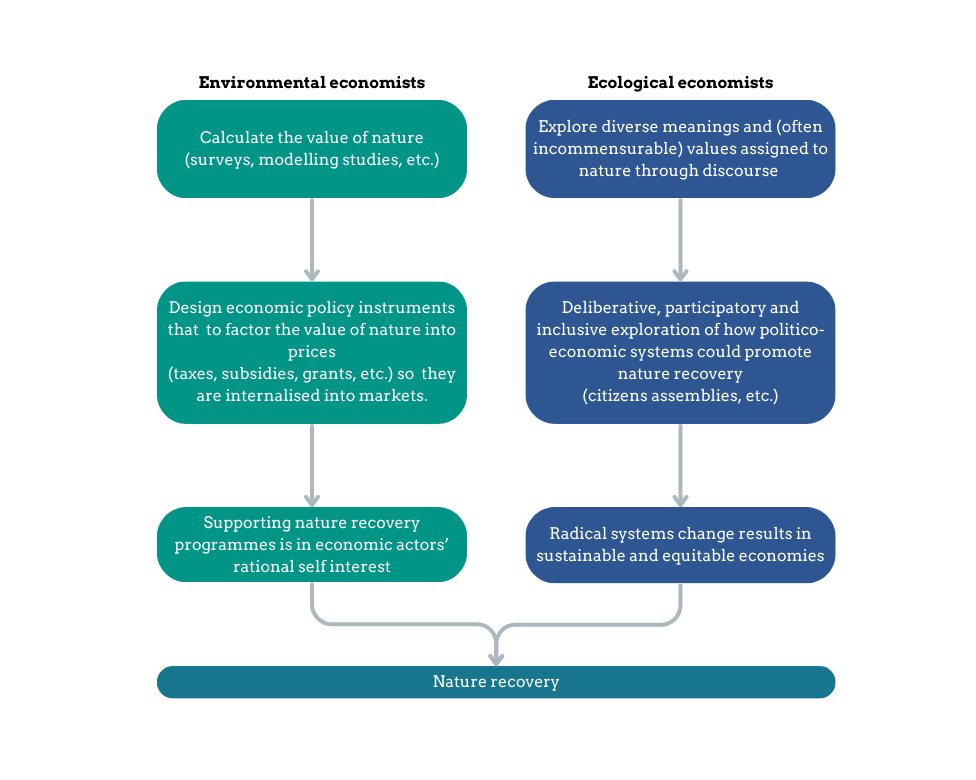A flowchart demonstrates how environmental economists and ecological economists each imagine the pathways to nature recovery.