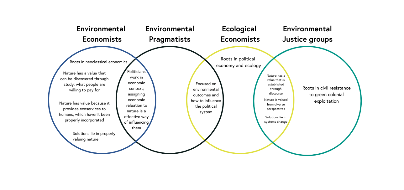 A Venn Diagram describing the ideological relationships between environmental economists, environmental pragmatists, ecological economists, and environmental justice groups.
