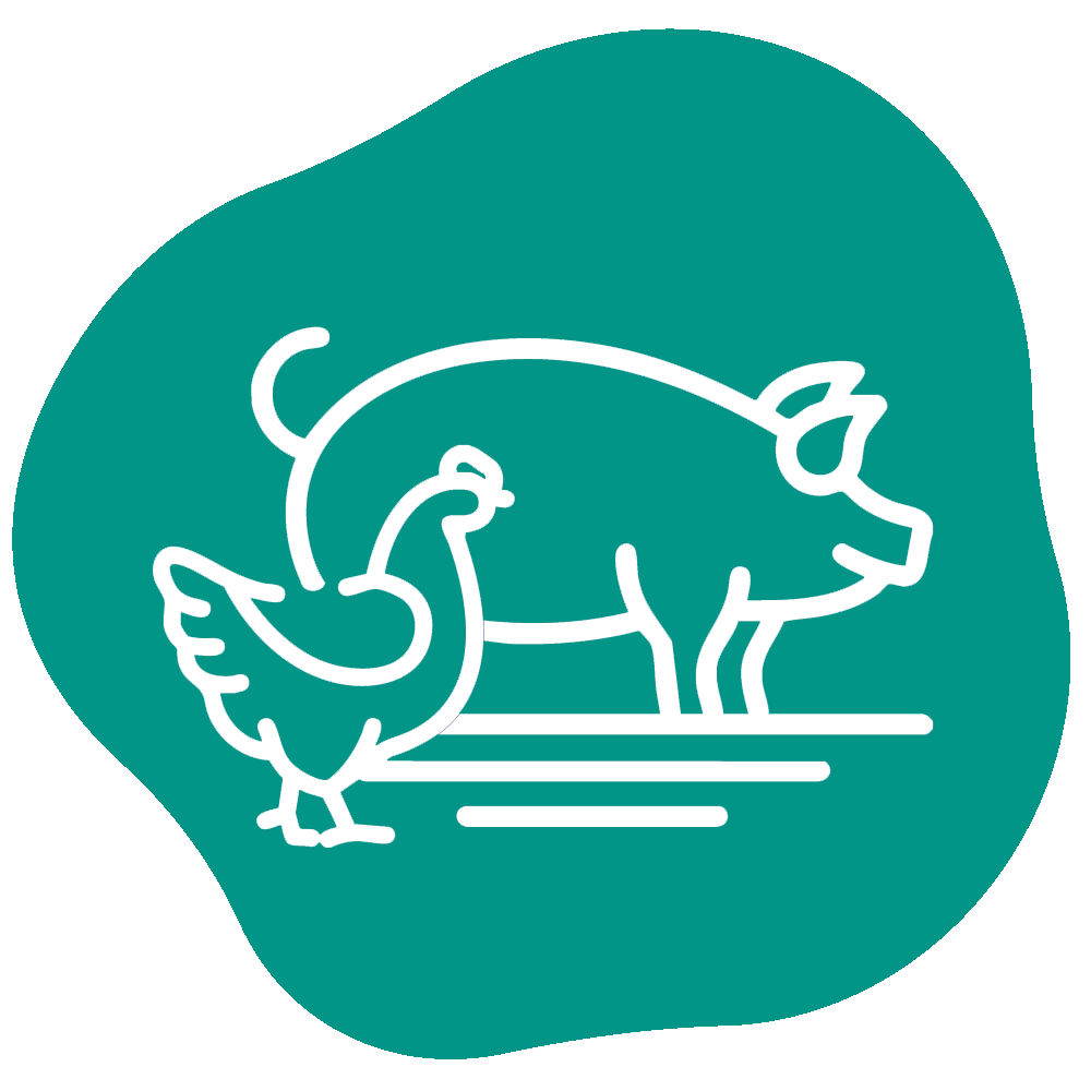 Icon of a chicken standing in front of a pig