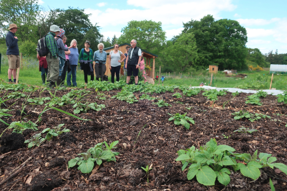 Forres Friends of Woods and Fields, a Moray-based local community garden in Scotland image by Rafaella Senna
