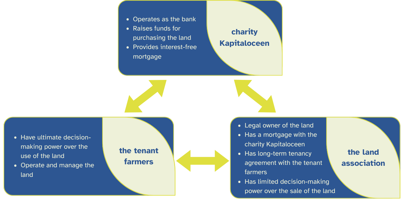 figure 1: diagram of the legal relationship between the land association, tenant farmers and Kapitaloceen