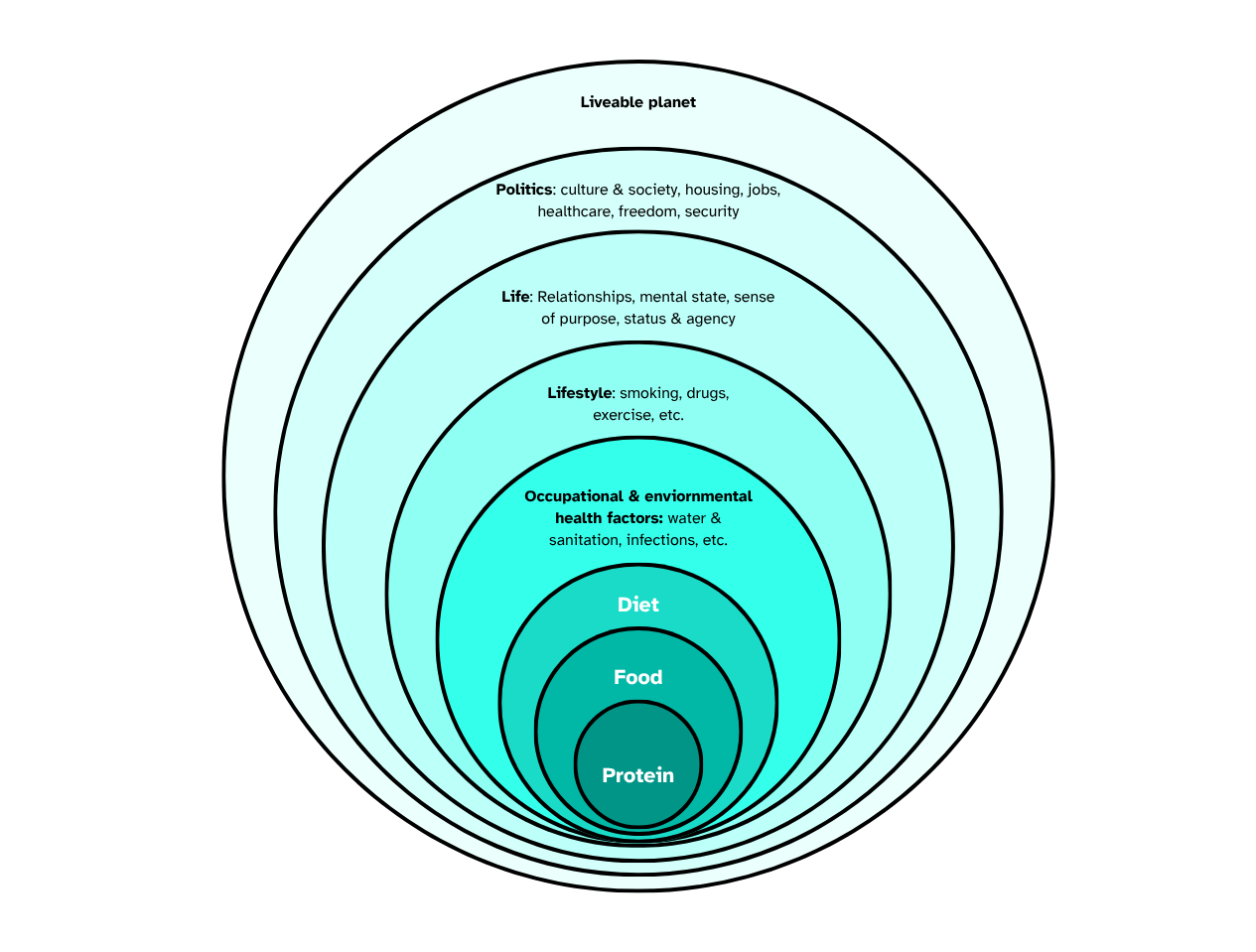 Figure 6: A way of looking at the influences on health
