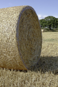 Image: 16124683, Agriculture bale countryside, Pixabay, Pixabay Licence