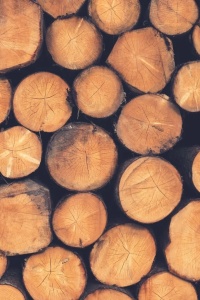 Image: Free-Photos, Wood Logs Lumber, Pixabay, Pixabay Licence