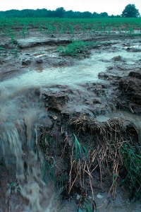 Image: Lynn Betts, Runoff of soil & fertilizer, Wikimedia Commons, Public domain
