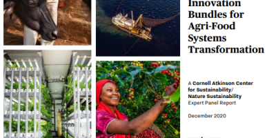 Socio-technical innovation bundles for food transformation report cover