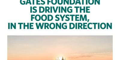 How the Gates Foundation is driving the food system