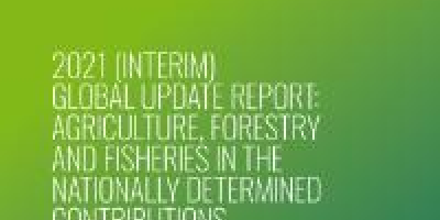Agriculture, Forestry and Fisheries in the Nationally Determined Contributions