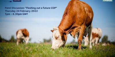 Fleshing out a future COP event advert