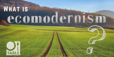 A field with tractor tracks through the middle extends into the distance, with a forest in the distance. The text asks "What is ecomodernism?"