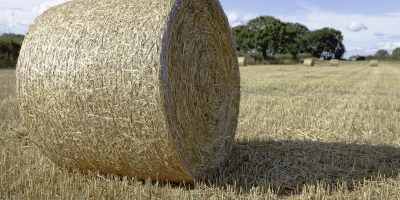 Image: 16124683, Agriculture bale countryside, Pixabay, Pixabay Licence