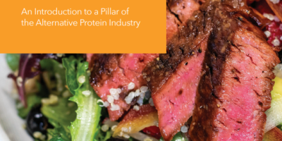 Fermentation in the alternative protein industry