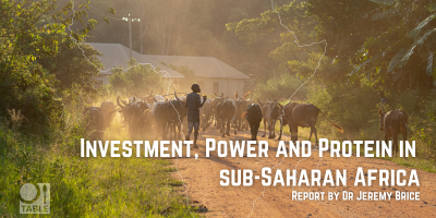 Investment power and protein report cover image - herding cattle 