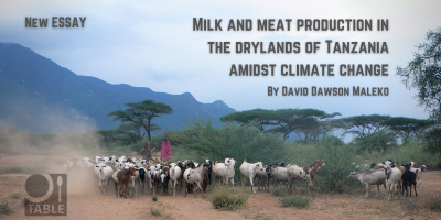 New essay: Milk and meat production in the drylands of Tanzania amidst climate change by Dr David Dawson Maleko