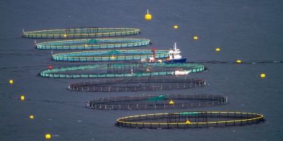 Fish farming cages in the ocean. Photo by Tapani Hellman via Pixabay.