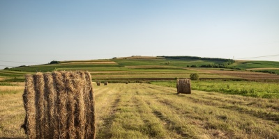 Rolls of hay sit on a field with agricultural landscape in the background. Photo by Vlad Chețan via Pexels.