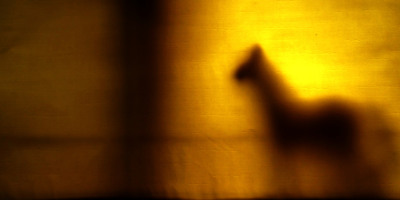 Silhouette of a quadraped animal in yellow light, through the fabric of a tent