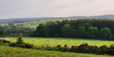 View of a family farm in Northumberland