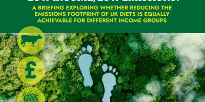 The cover of the Lower income, low emissions? report