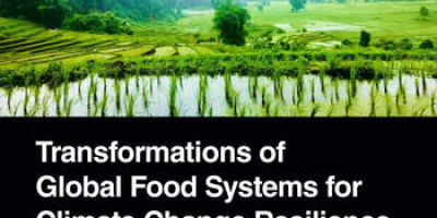 The cover of Transformations of Global Food Systems for Climate Change Resilience edited by Preety Gadjoke, Barrett Brenton and Solomon Katz