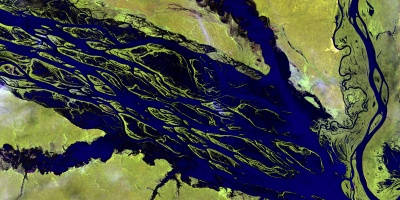 Satellite Image of the Brazil's Negro River running through the amazon. Photo by USGS via Unsplash