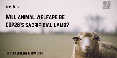 A flyer advertising the blog "Will animal welfare be COP28’s sacrificial lamb?" by Cleo Verkuijl & Jeff Sebo. The TABLE logo is in the corner and the background is a sheep staring into the camera with a blurry landscape behind by Dan Hamill via Pexels.