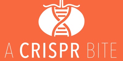 A CRISPR Bite podcast logo - DNA running through a tomato