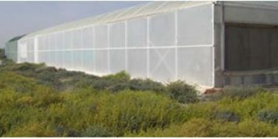 Image: Raffa be, Seawater Greenhouse in Tenerife two years after being installed, Wikimedia Commons, Creative Commons Attribution 3.0 Unported