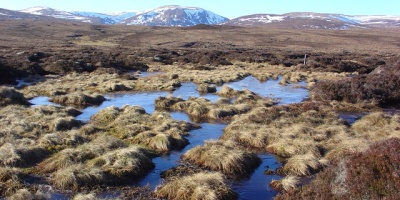 Image: Alasdair MacDonald, Wet peat land, Geograph, Creative Commons Attribution-ShareAlike 2.0 Generic 