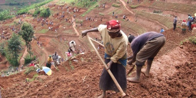 Photo credit: DFID - UK Department for International Development, Women and men in northern Rwanda work on a public works site, building terraces to prevent soil erosion, Flickr, Creative Commons Attribution-ShareAlike 2.0 Generic.