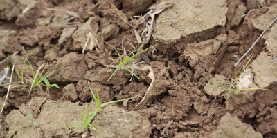 Photo: United Soybean Board, Soil, Flickr, Creative Commons License 2.0
