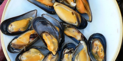 Image: Claude Covo-Farchi, Mussels at Trouville fish market, Wikimedia Commons, Creative Commons Attribution-Share Alike 2.0 Generic