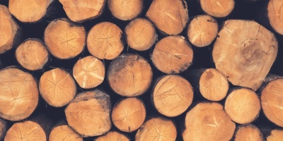 Image: Free-Photos, Wood Logs Lumber, Pixabay, Pixabay Licence