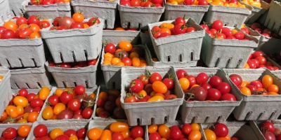 Image: Ruth Hartnup, Heirloom cherry tomatoes at Wholefoods, Flickr, Creative Commons Attribution 2.0 Generic