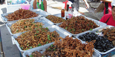 Insect food stall, Wikimedia Commons