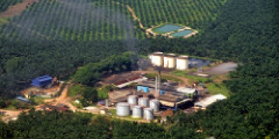 Photo: Marufish, palm oil mill, Flickr, Creative Commons licence 2.0