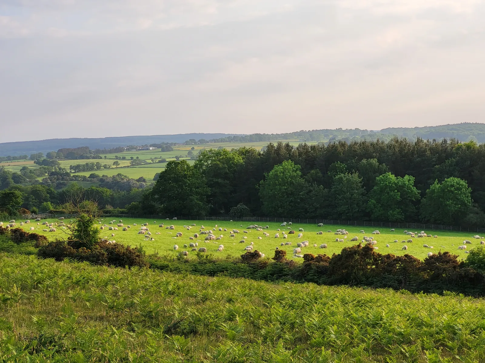 View of a family farm in Northumberland