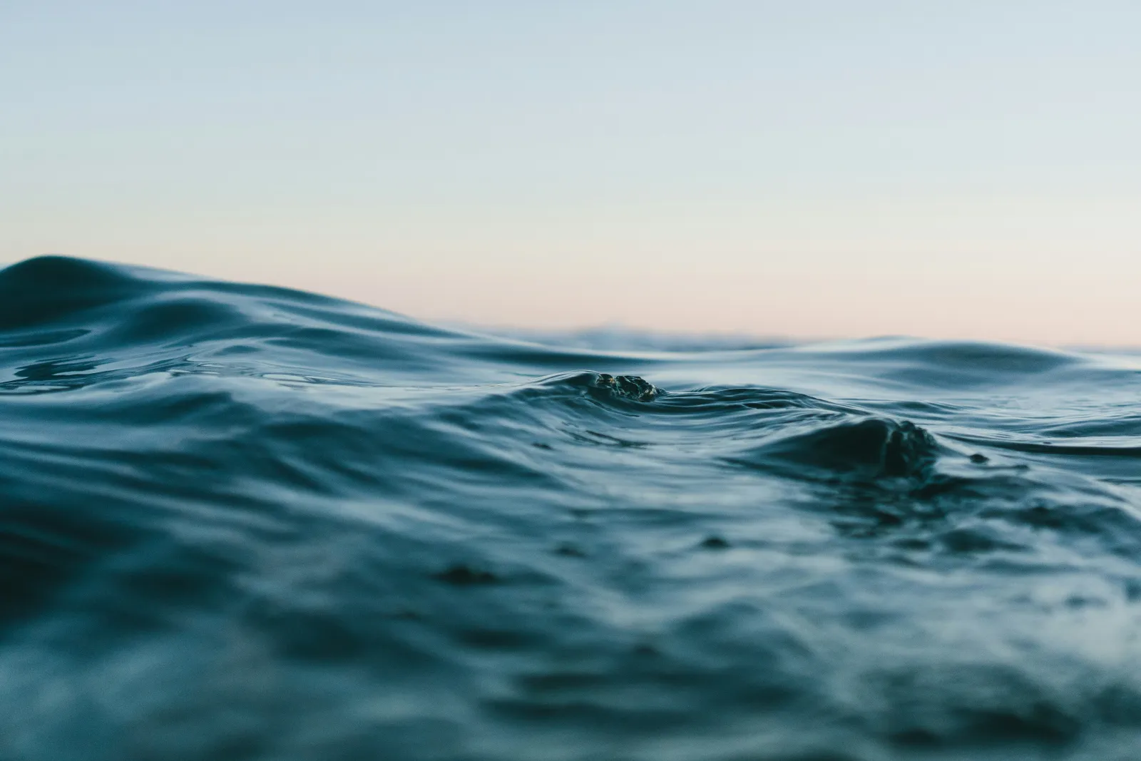 An ocean wave. Photo by Matt Hardy via Unsplash.